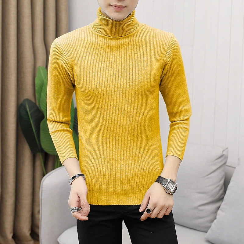 Solid Color Turtleneck Sweater