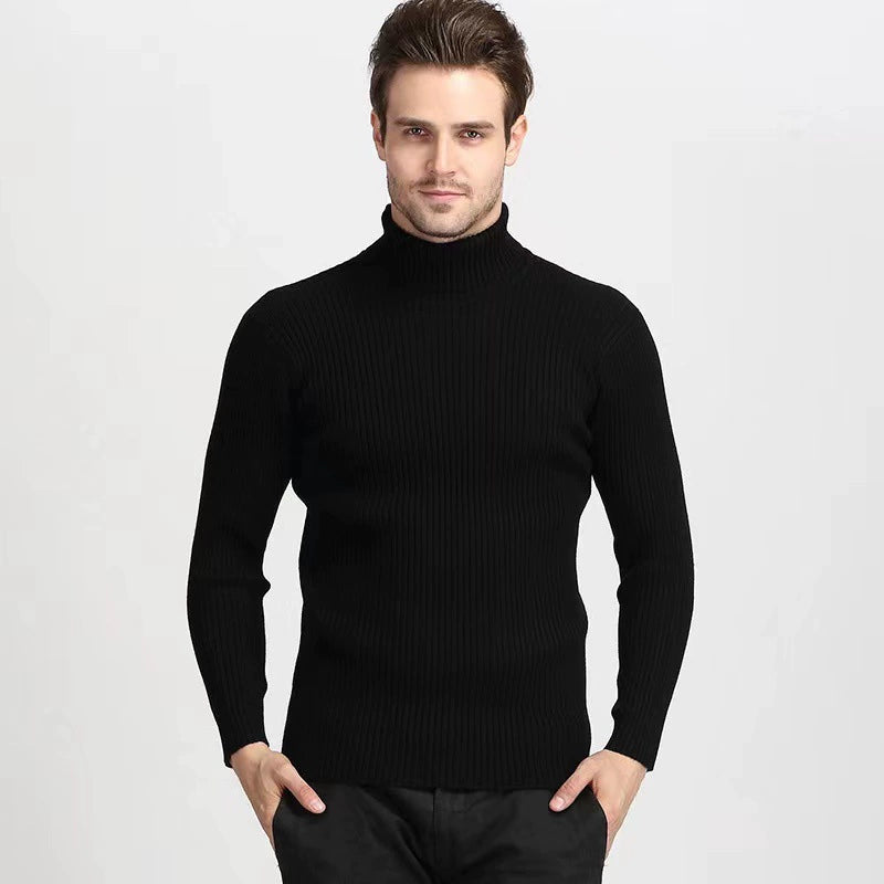 Solid Color Turtleneck Sweater