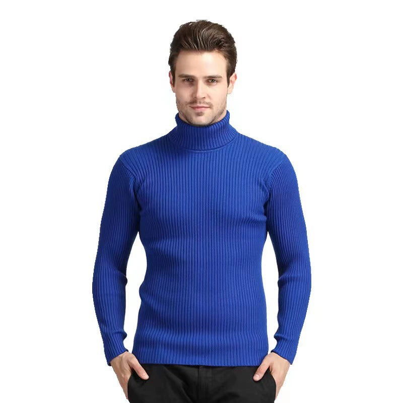 Solid Color Turtleneck Sweater