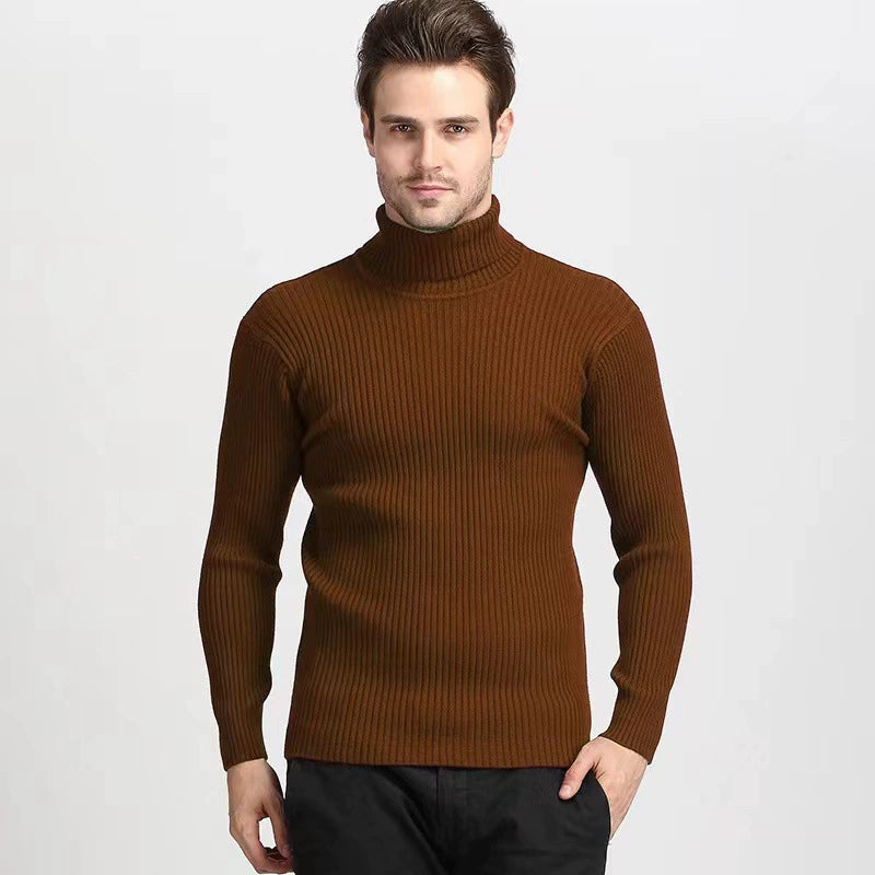 Solid Color Turtleneck Sweater