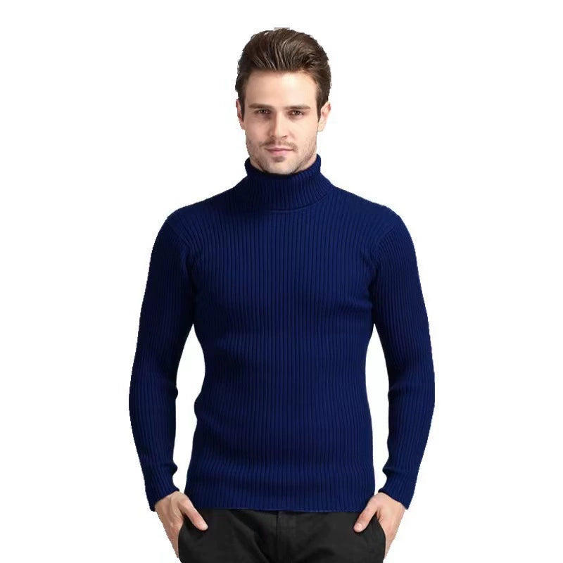 Solid Color Turtleneck Sweater