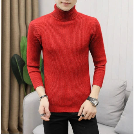 Solid Color Turtleneck Sweater