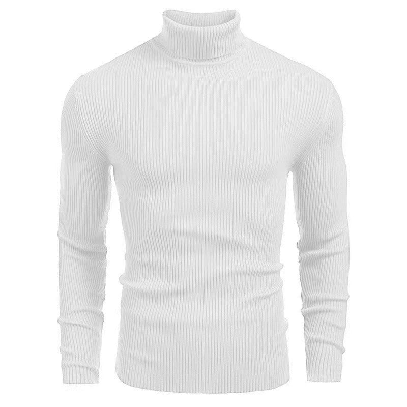 Solid Color Turtleneck Sweater