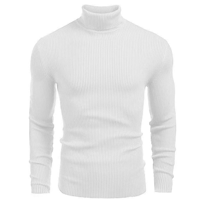 Solid Color Turtleneck Sweater